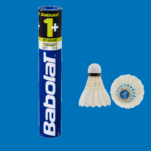 Badminton Kingdom Brand